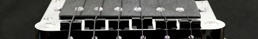 banner-short.jpg